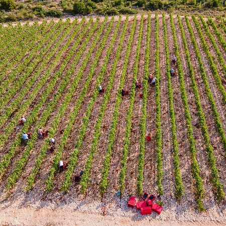 Winery Rizman B&B Slivno Ravno Εξωτερικό φωτογραφία